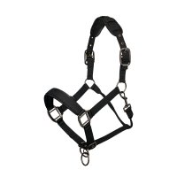 Premium Komfort gepolstertes Nylonhalfter - FOB Indien