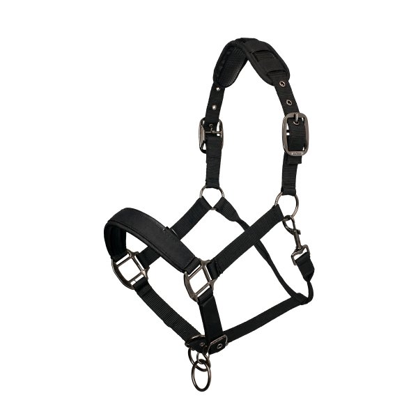 Premium Komfort gepolstertes Nylonhalfter - ab Lager Fürstenberg