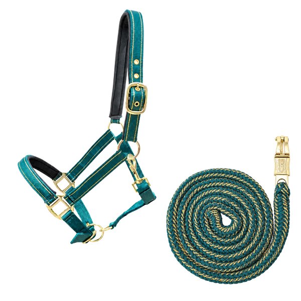 Halfterset "Golden Teal" Full