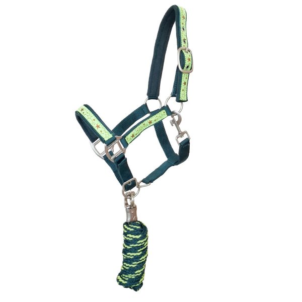 Halfterset "Starlet" Grün Shetty