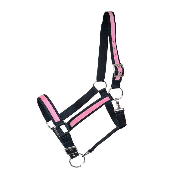 Kaltbluthalfter "Big Boy" pink