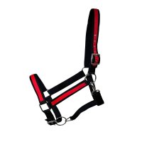 Kaltbluthalfter "Big Boy" rot