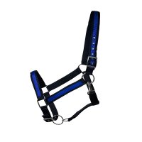 Kaltbluthalfter "Big Boy" royalblau