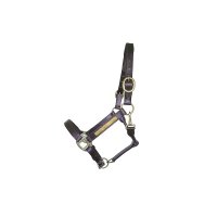 Lederhalfter mit Gravurplatte XXFull