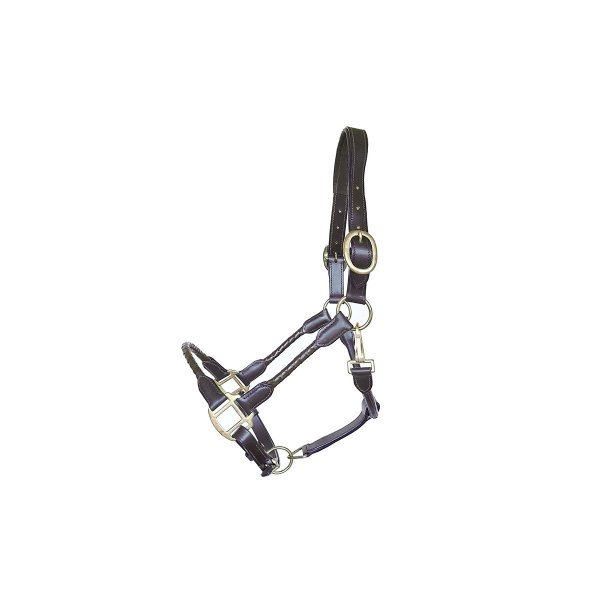 Lederhalfter "Tessa" Shetty