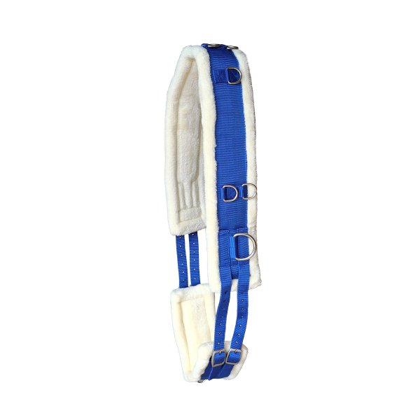 Longiergurt "Colour" mit Teddyfleecepolsterung royalblau royalblau Full