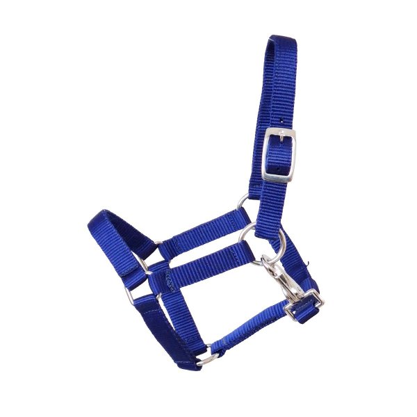 Kunststoffhalfter "MiniFit" royalblau Gr. 2