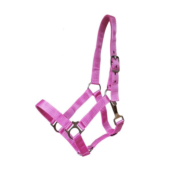 Stall- und Weidehalfter Standard Shetty pink