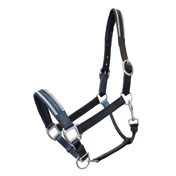 Lederhalfter "Sparkle" Full