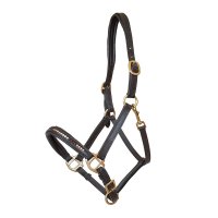 Lederhalfter "Glanzstück" Pony