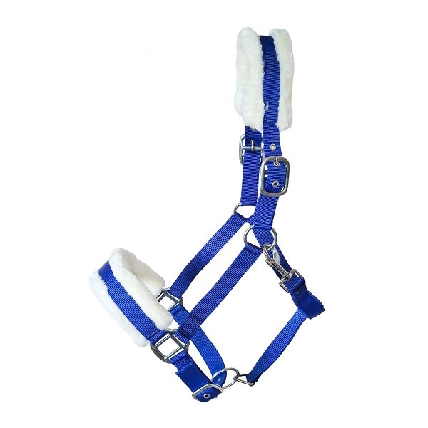 Kunststoffhalfter "Teddy" Cob