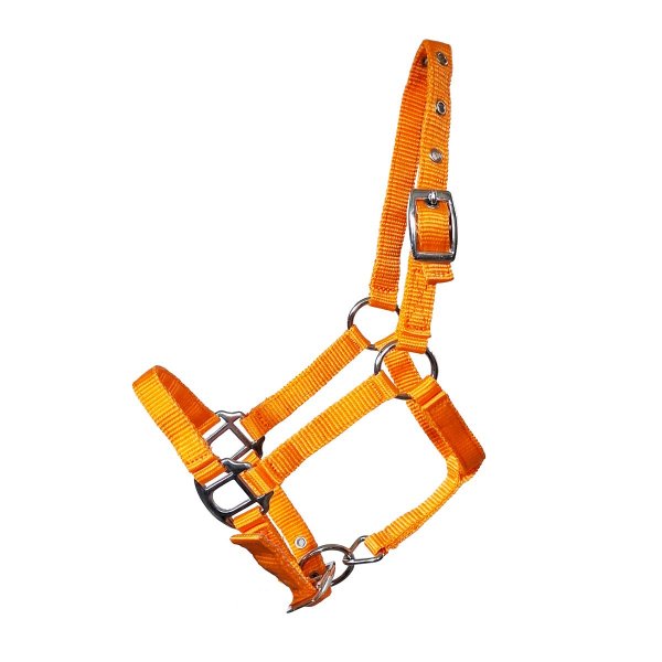 Halfter "Miniline" Größe 3 orange