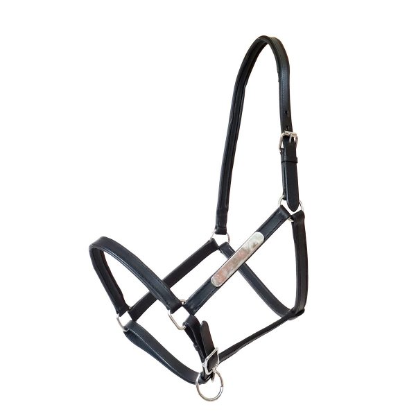 Lederhalfter "Everyday Charm" Full schwarz
