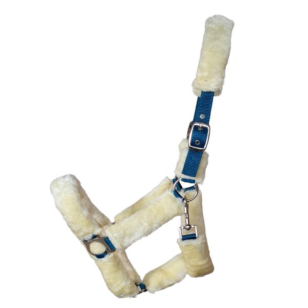 Kunststoffhalfter "Protect" Cob türkis-natur